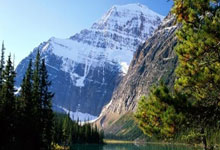 开云app包含赛地聚焦——欧冠赛前热度飙升，法兰克福远射贴柱，引发热议，年轻球员得到机会的词条